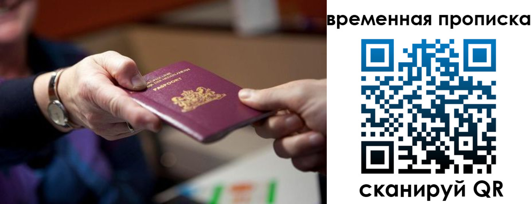 временная регистрация для всех в Дальнегорске